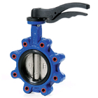 Dn200 PN10 16 Wafer Butterfly Valve Body Casting For Valve Parts