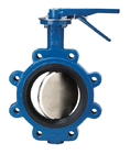 Dn200 PN10 16 Wafer Butterfly Valve Body Casting For Valve Parts